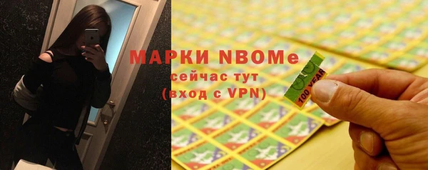 гашик Алексин