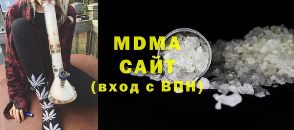гашик Алексин