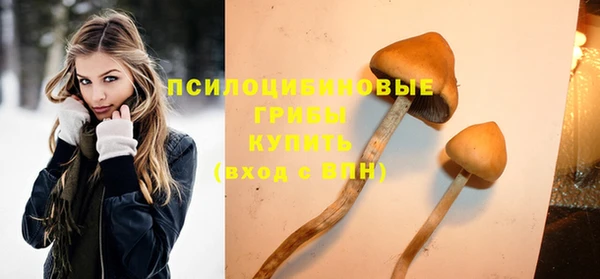 таблы Алзамай