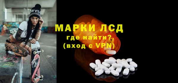 гашик Алексин