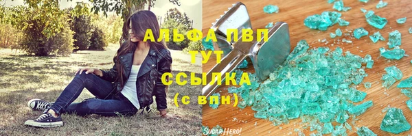 гашик Алексин