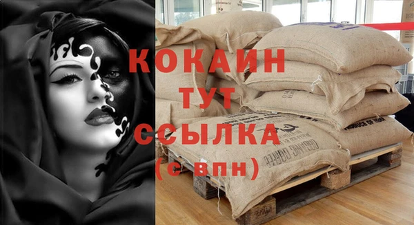 сатива Абаза