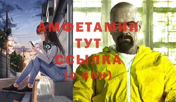 сатива Абаза