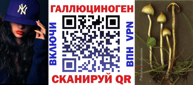 Псилоцибиновые грибы мухоморы  хочу наркоту  Оренбург 